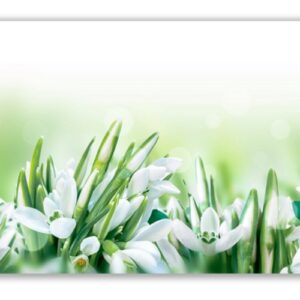 Kepes Infrapanel Snowdrops 300x300