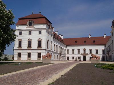 Esterhazy Kastely Papa 2