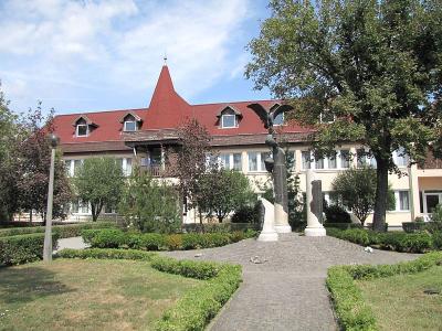 800px Abadszalok Varoshaza 1