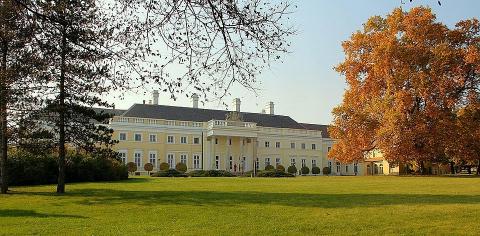 Esterhazy Kastely A Park Felol 1