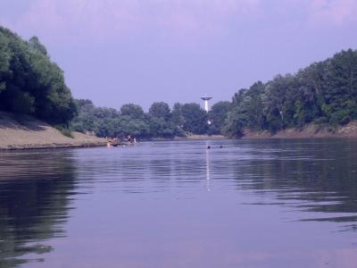 SSA41313tisza 1