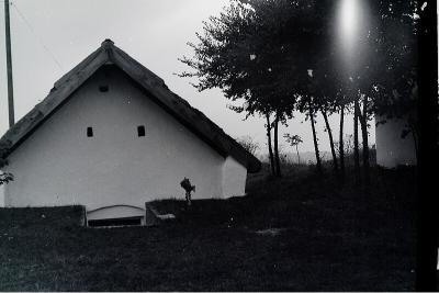 SoltPince1979 1