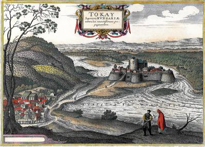 Tokaj G Hoefnagel 1