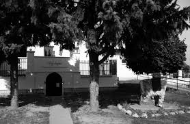 Letoltes 11