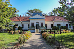 Letoltes 19