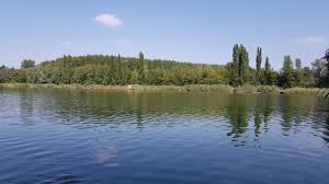 Letoltes 37