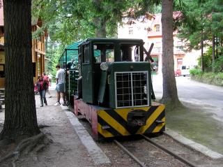 C50paev 1