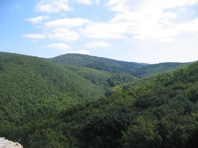 Mecsek Magyaro 1 1 2