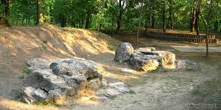 Letoltes 8